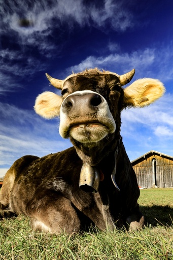 S T E P H I E G R A F I E  | Fotokunst | Architekturfotograf auf alleFotografen