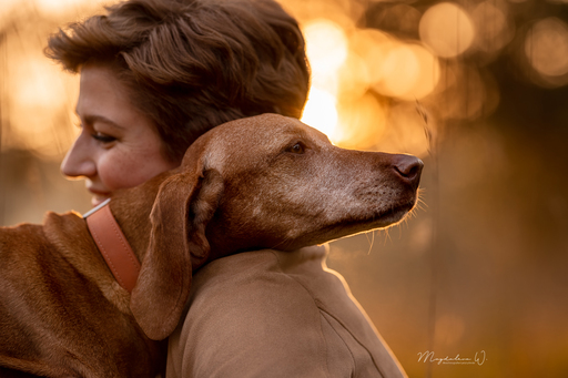 sie.fotografiert.jetzt.pferde | Hunde | Pferdefotograf auf alleFotografen