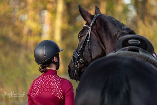 sie.fotografiert.jetzt.pferde | Pferde | Sportfotograf auf alleFotografen
