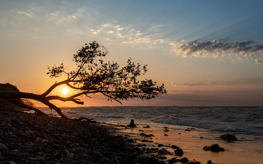 Michael Held | Schleswig-Holstein | Imagefotograf auf alleFotografen