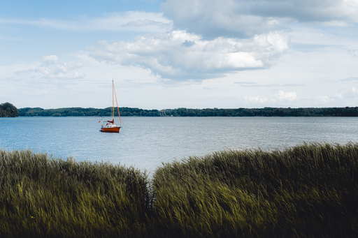 Michael Held | Schleswig-Holstein | Pressefotograf auf alleFotografen