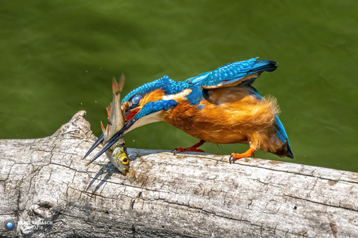 Heinz Vonäsch Fotografie | Ueberblick | Luftbildfotograf auf alleFotografen
