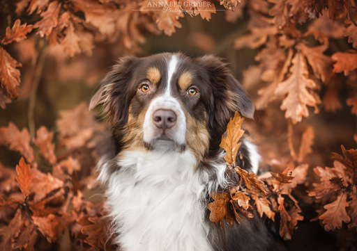 Annabelgruber_Photography | Galerie | Portraitfotograf auf alleFotografen
