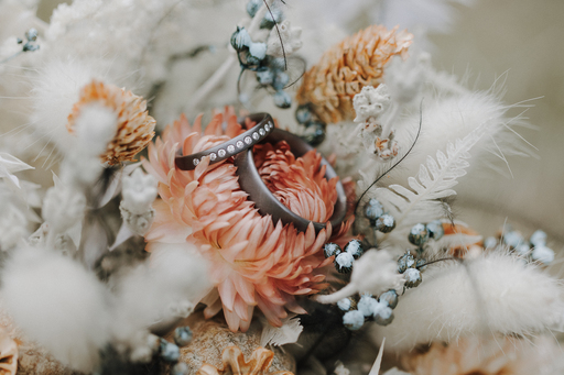 Sarah Genuit Fotografie | Hochzeit | Hundefotograf auf alleFotografen