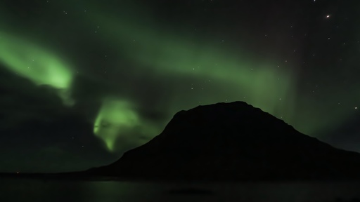 Frans-Fotografie | Landschaften | Tierfotograf auf alleFotografen