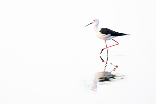 Martijn van Dijk | Natur | Landschaftsfotograf auf alleFotografen