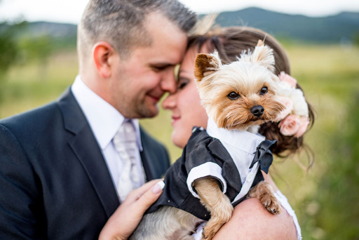 Szeiler Gábor | Hochzeit Fotos | fotograf auf alleFotografen