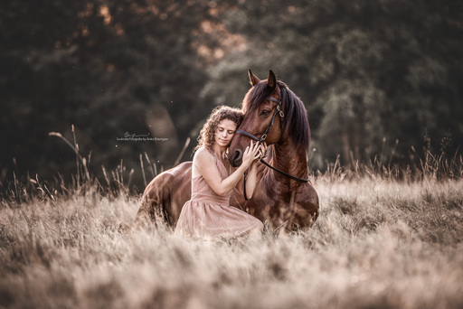Soulmate Fotografie - Anika Bräutigam | Pferde | Tierfotograf auf alleFotografen