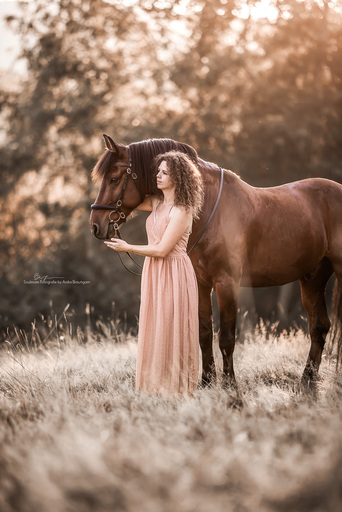 Soulmate Fotografie - Anika Bräutigam | Pferde | Hundefotograf auf alleFotografen