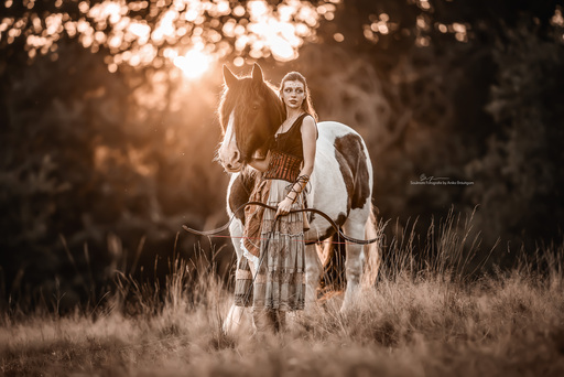 Soulmate Fotografie - Anika Bräutigam | Pferde | Tierfotograf auf alleFotografen