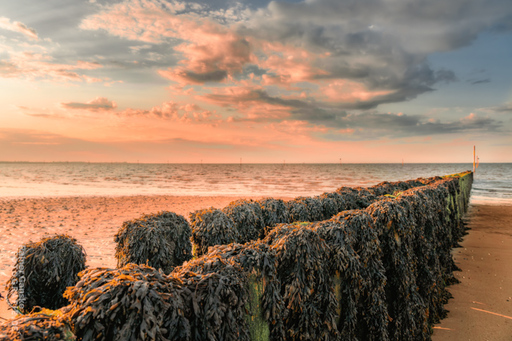 Rainer Ganske Fotografie | Meine Bilder von der Nordseeküste | Architekturfotograf auf alleFotografen