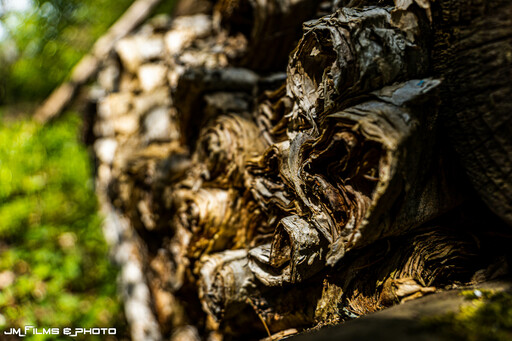 JM Films and Photo | Landschaftsfotografie | Aktfotograf auf alleFotografen