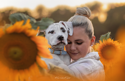 Karina Kopp Fotografie | Outdoorfotografie | Tierfotograf auf alleFotografen