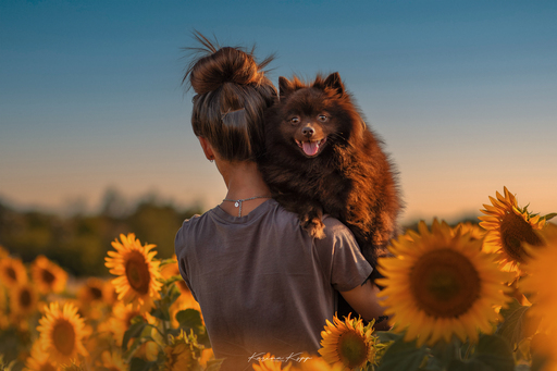 Karina Kopp Fotografie | Outdoorfotografie | Hundefotograf auf alleFotografen