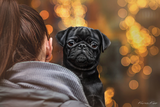 Karina Kopp Fotografie | Outdoorfotografie | Tierfotograf auf alleFotografen