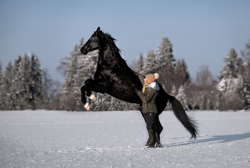 Moments2remember | Hunde- und Pferdefotografie | Kita- und Schulfotograf auf alleFotografen
