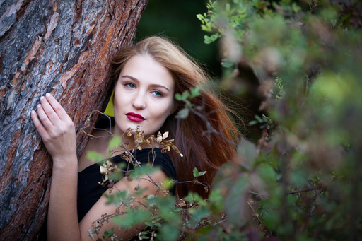 Markus Schiller | Portraits | Tierfotograf auf alleFotografen