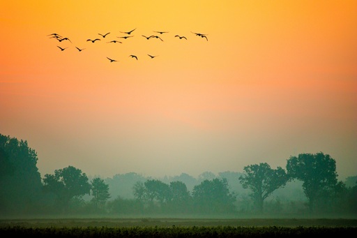 Marcus Häberlen Naturfotografie | Portofolio | Tierfotograf auf alleFotografen