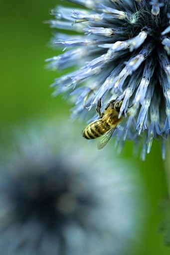 Marcus Häberlen Naturfotografie | Portofolio | Landschaftsfotograf auf alleFotografen