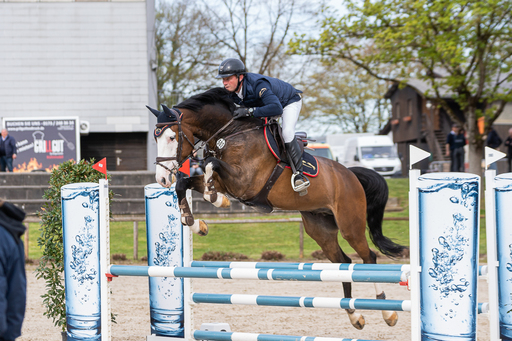 Bambifotografie | Reitsport | Werbefotograf auf alleFotografen
