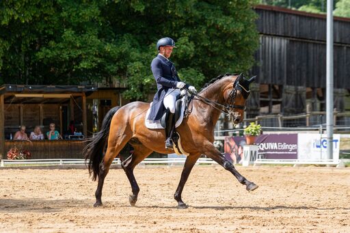 Bambifotografie | Reitsport | Hundefotograf auf alleFotografen