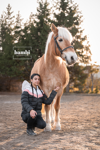 Bambifotografie | Eure Liebe für Immer | Werbefotograf auf alleFotografen