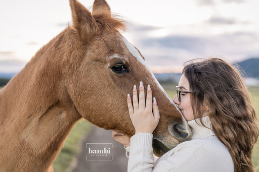Bambifotografie | Eure Liebe für Immer | Pferdefotograf auf alleFotografen