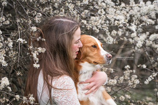 Bambifotografie | Eure Liebe für Immer | Sportfotograf auf alleFotografen