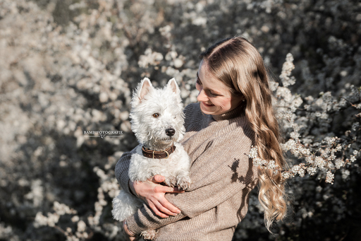 Bambifotografie | Eure Liebe für Immer | Paarfotograf auf alleFotografen