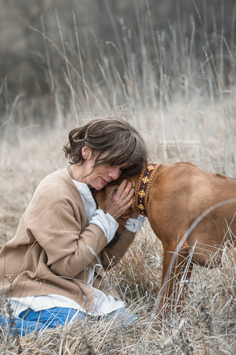 Bambifotografie | Eure Liebe für Immer | Tierfotograf auf alleFotografen