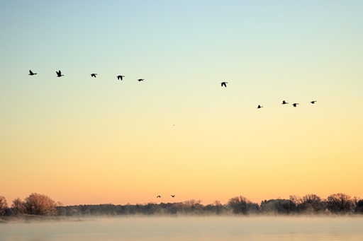 Marcus Häberlen Naturfotografie | Portofolio | Landschaftsfotograf auf alleFotografen
