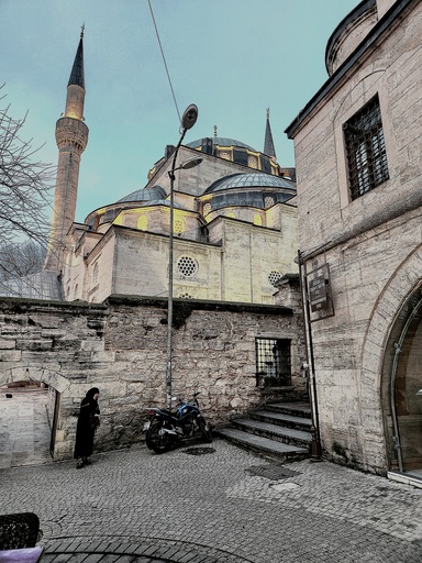 Atila | Türkei 03.2024 | Tierfotograf auf alleFotografen