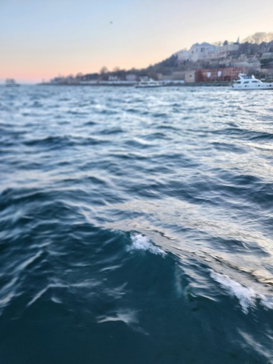 Atila | Türkei 03.2024 | Tierfotograf auf alleFotografen
