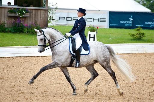 Brunnmayr Design & Fotografie e.U. | Pferdesport | Architekturfotograf auf alleFotografen