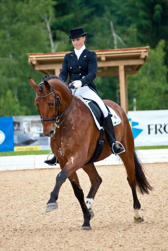 Brunnmayr Design & Fotografie e.U. | Pferdesport | Konzertfotograf auf alleFotografen