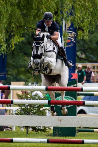 Brunnmayr Design & Fotografie e.U. | Pferdesport | Werbefotograf auf alleFotografen