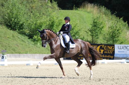 Brunnmayr Design & Fotografie e.U. | Pferdesport | Industriefotograf auf alleFotografen