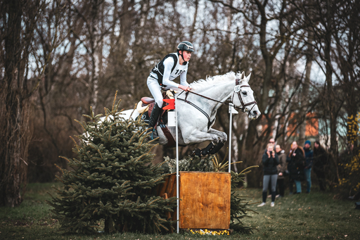 Moin Moin Design | Reitsport Fotografie | Pferdefotograf auf alleFotografen
