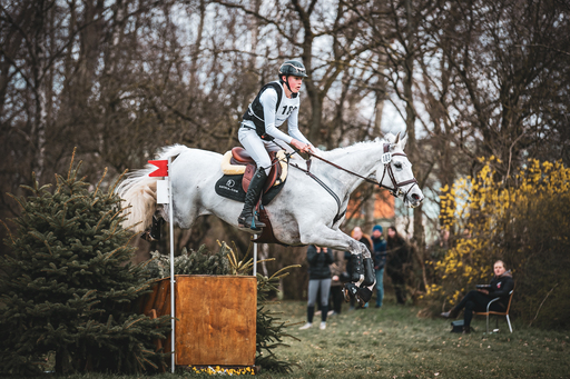 Moin Moin Design | Reitsport Fotografie | Paarfotograf auf alleFotografen