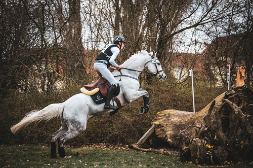 Moin Moin Design | Reitsport Fotografie | Hundefotograf auf alleFotografen