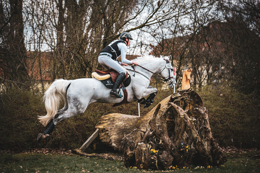 Moin Moin Design | Reitsport Fotografie | Tierfotograf auf alleFotografen