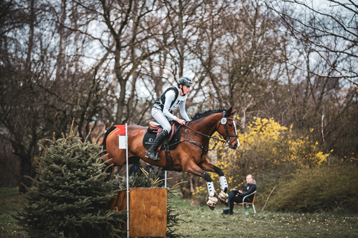 Moin Moin Design | Reitsport Fotografie | Sportfotograf auf alleFotografen