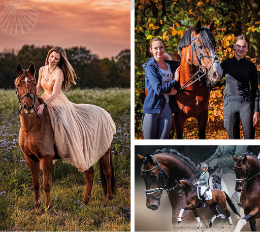 Moin Moin Design | Pferde und Hunde | Sportfotograf auf alleFotografen