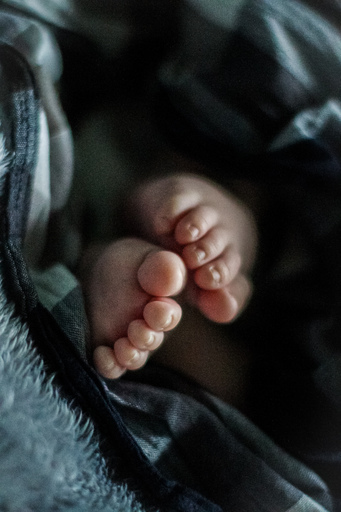 Moin Moin Design | Kinderfotografie | Familienfotograf auf alleFotografen