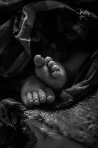 Moin Moin Design | Kinderfotografie | Hundefotograf auf alleFotografen