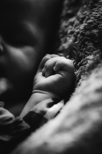 Moin Moin Design | Kinderfotografie | Tierfotograf auf alleFotografen