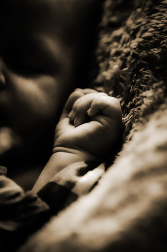 Moin Moin Design | Kinderfotografie | Kinderfotograf auf alleFotografen