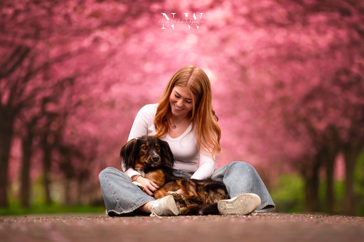 NinaWeberFotografie | Hunde | Hundefotograf auf alleFotografen