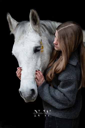NinaWeberFotografie | Pferde | Portraitfotograf auf alleFotografen