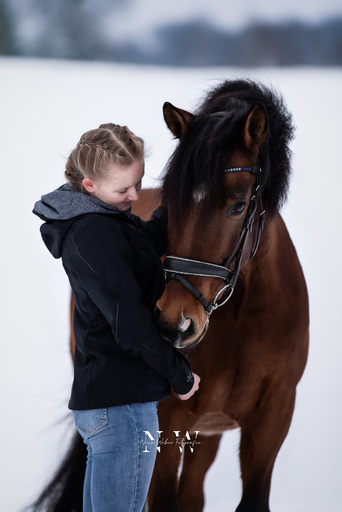 NinaWeberFotografie | Pferde | Paarfotograf auf alleFotografen